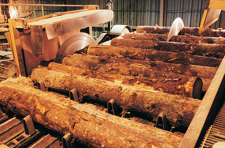 Specially ruggedized linear sensors are designed to withstand impacts and vibration typical of sawmills.