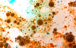 microbes in hydraulic oil AdobeStock_401822017